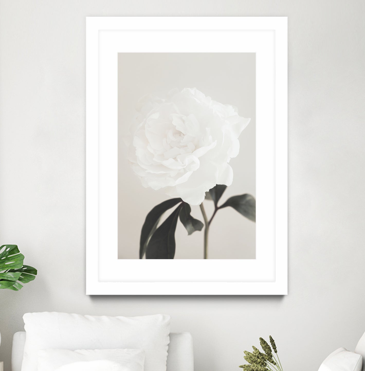 Peony 03 by Pictufy Studio III on GIANT ART - still life flower