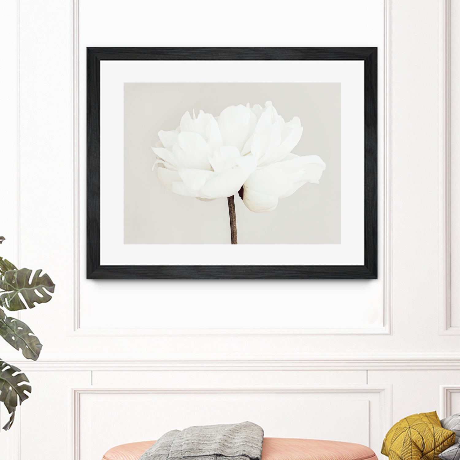 Peony 11 by Pictufy Studio III on GIANT ART - photography flower
