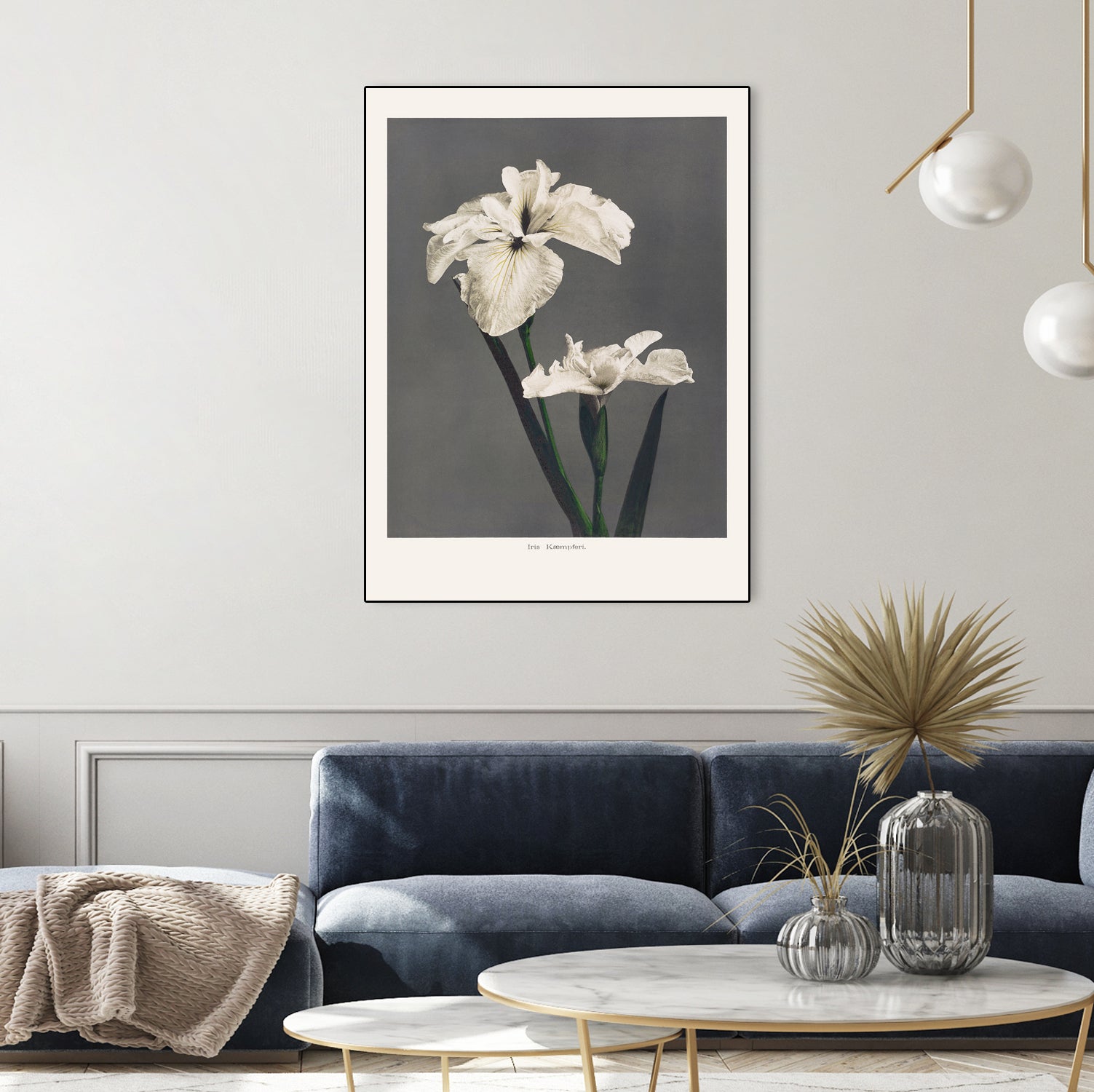 Iris KAbmpferi by Pictufy on GIANT ART -