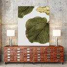 Abutifolia No2 by Shot on GIANT ART - photography still life