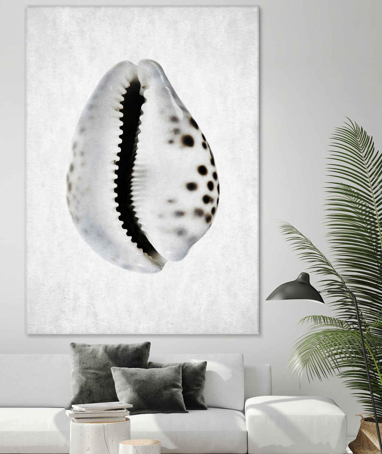 Spring Tide by Shot by Clint on GIANT ART - macro seashell art