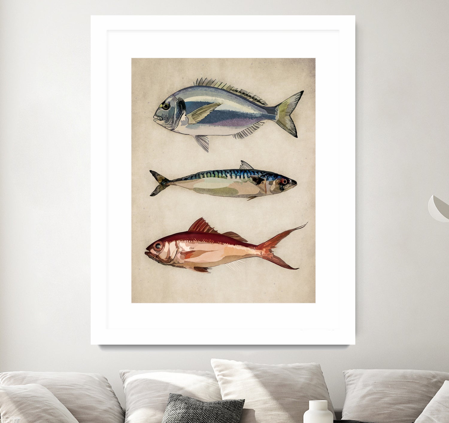 Trio of Ocean Life by Emel Tunaboylu on GIANT ART - animals vintage fish illustration