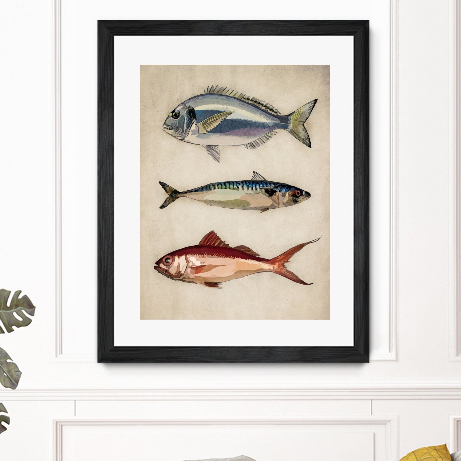Trio of Ocean Life by Emel Tunaboylu on GIANT ART - animals vintage fish illustration