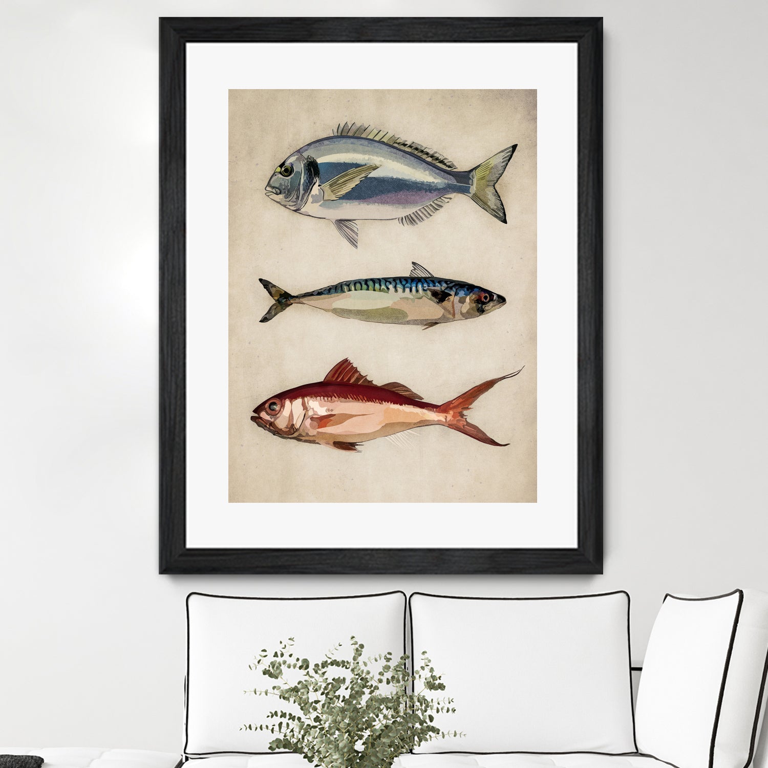 Trio of Ocean Life by Emel Tunaboylu on GIANT ART - animals vintage fish illustration