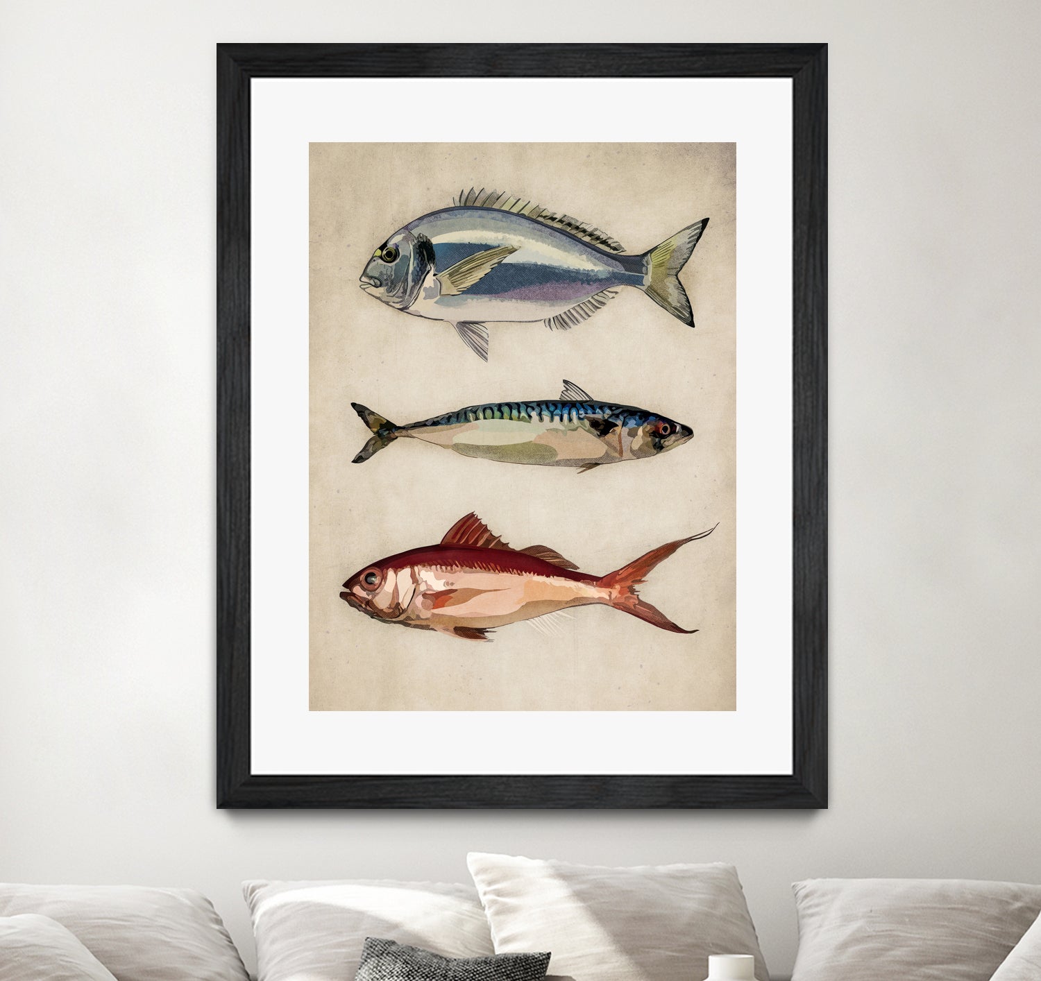 Trio of Ocean Life by Emel Tunaboylu on GIANT ART - animals vintage fish illustration