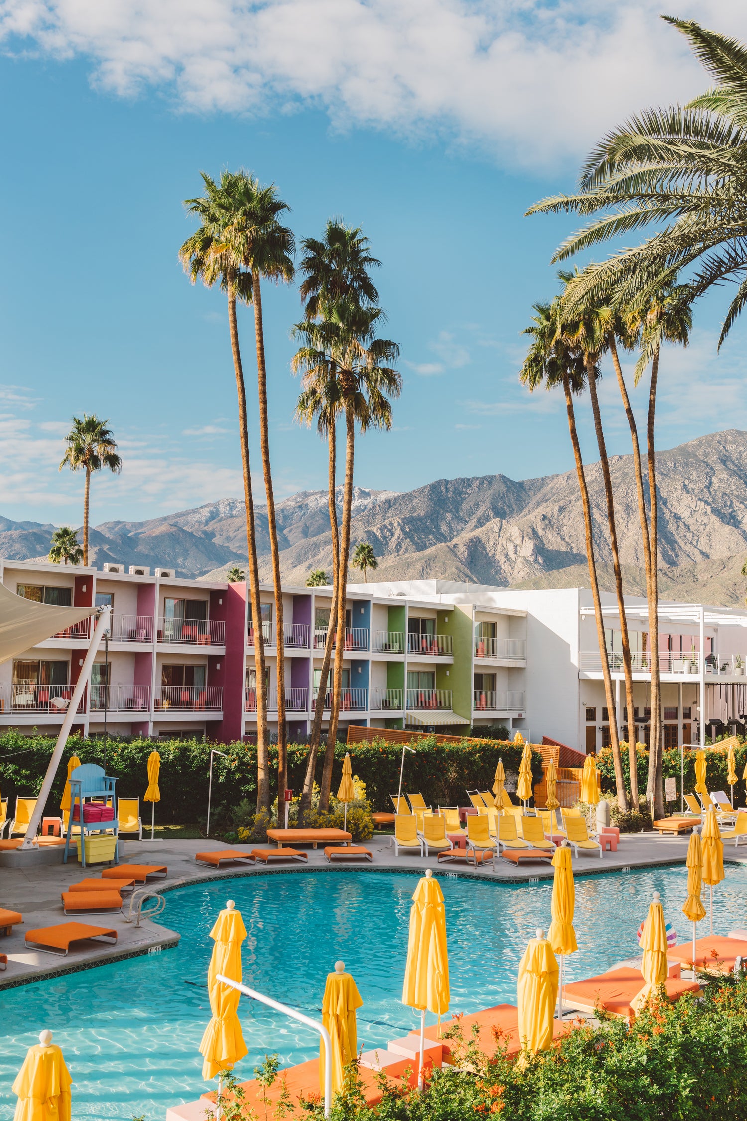 Palm Springs Saguaro by Bethany on GIANT ART - bleu botanical px2758276
