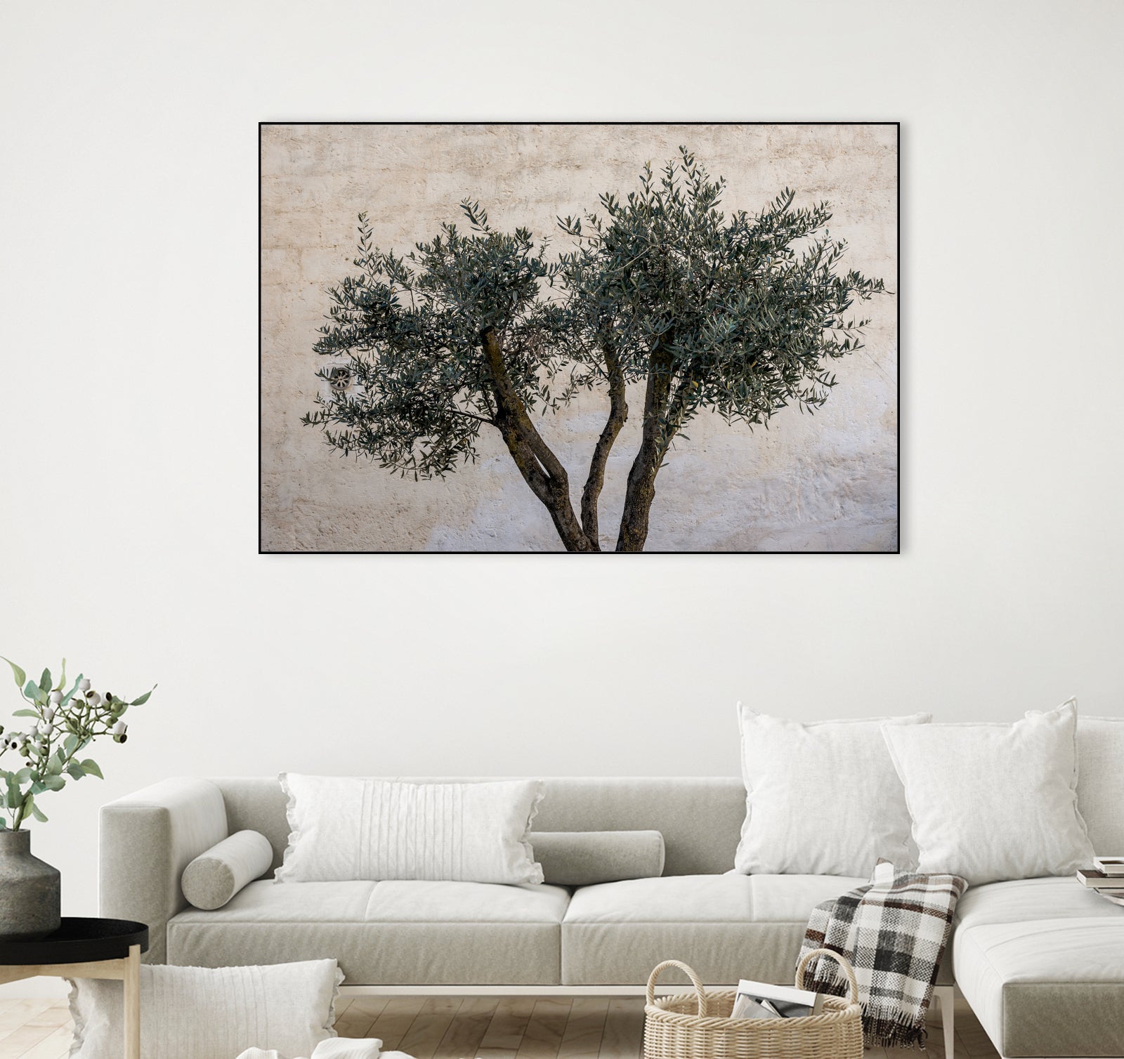 Olive Trees by Photolovers on GIANT ART - landscape plant