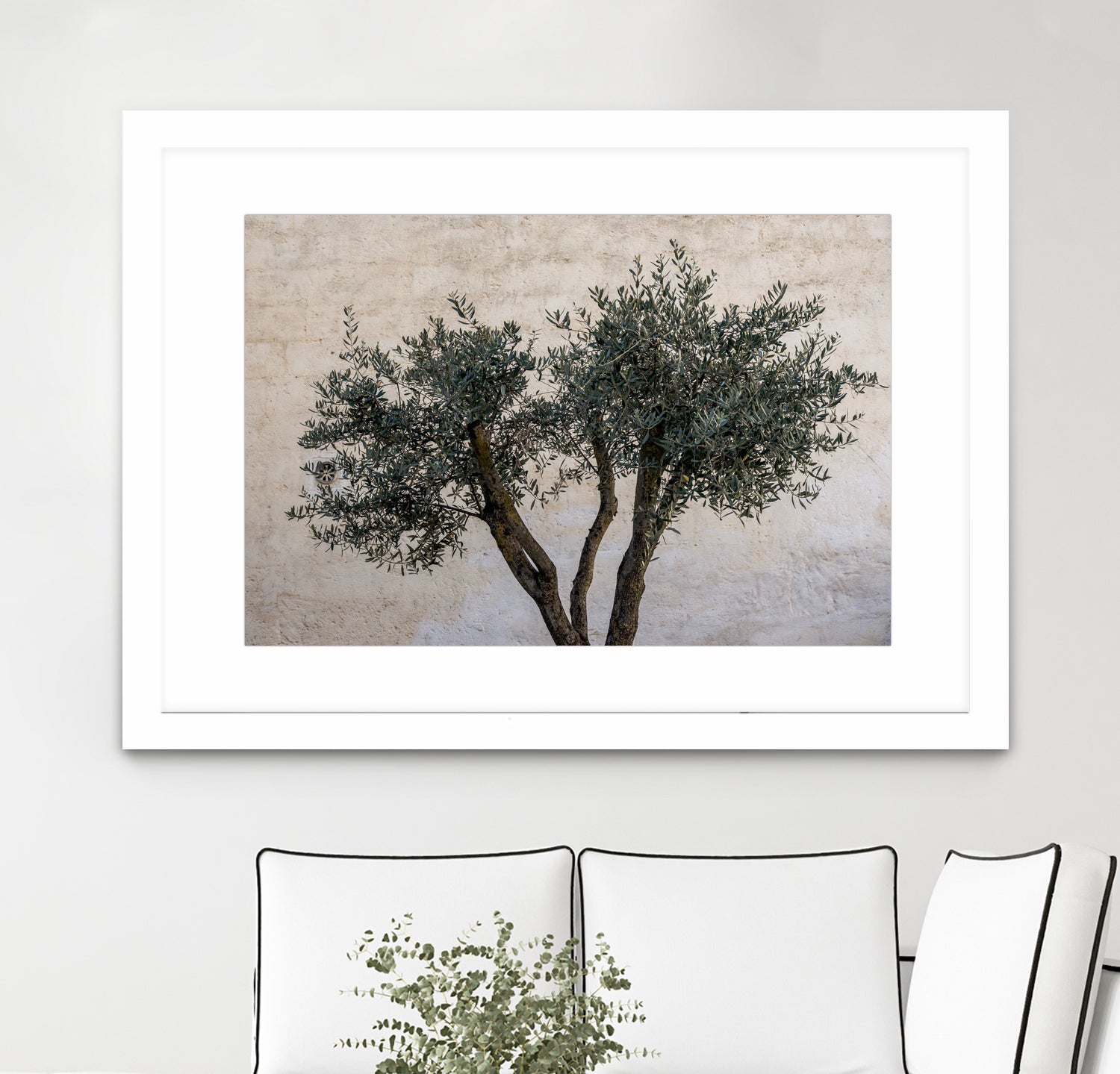 Olive Trees by Photolovers on GIANT ART - landscape plant