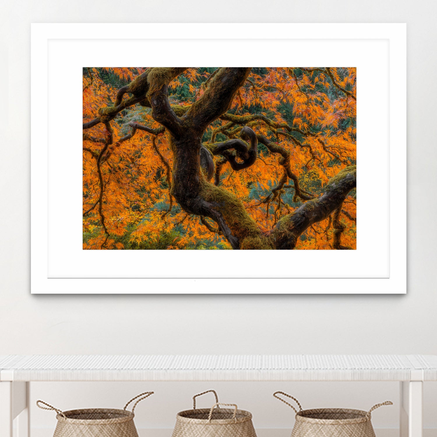 Golden Ratio by Junhao Wang on GIANT ART - orange botanical orange