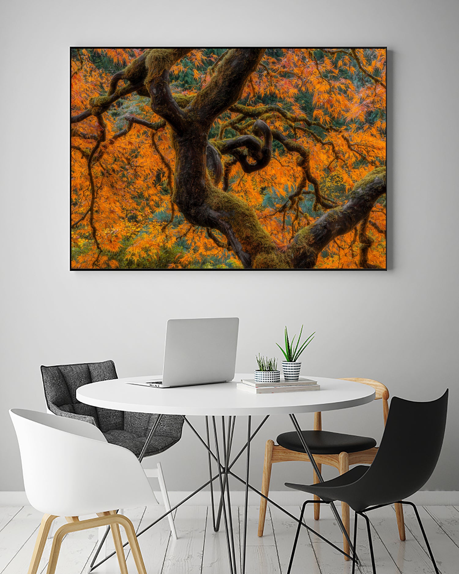 Golden Ratio by Junhao Wang on GIANT ART - orange botanical orange