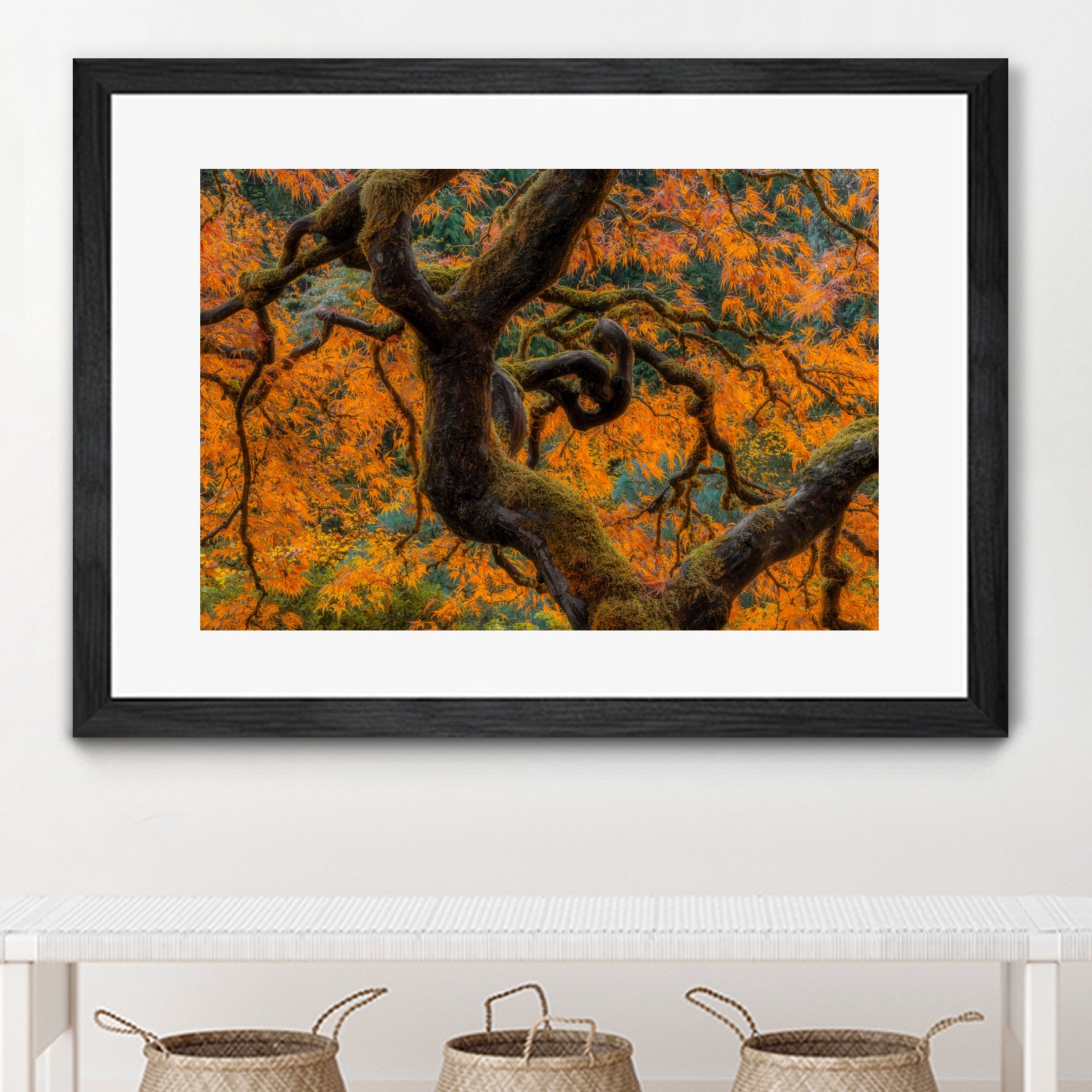 Golden Ratio by Junhao Wang on GIANT ART - orange botanical orange