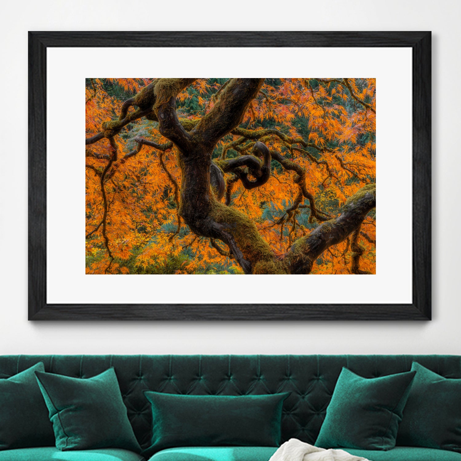 Golden Ratio by Junhao Wang on GIANT ART - orange botanical orange