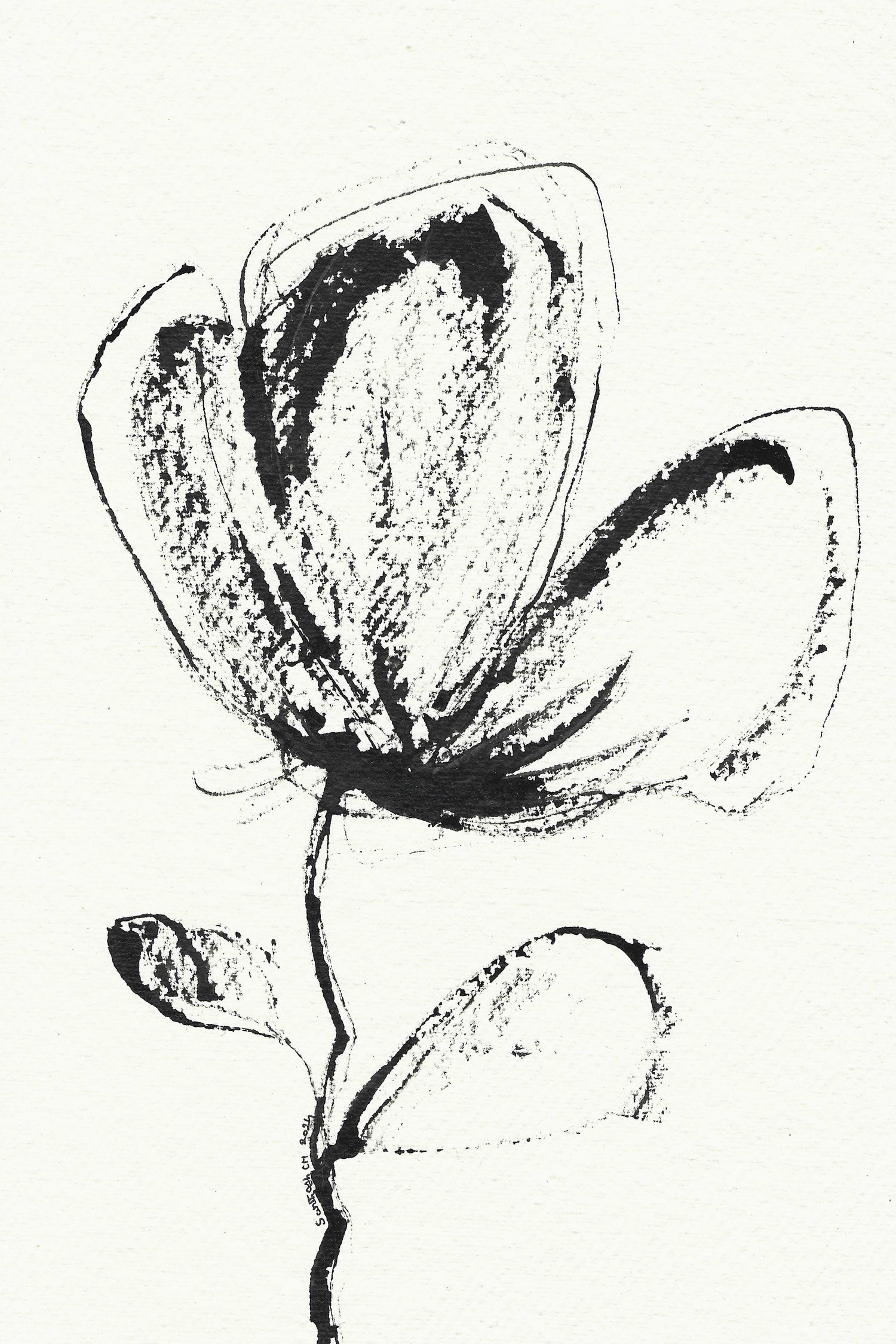 Petal Sketch Essence by Santhosh ch on GIANT ART - flowers and plants minimalist flower illustration