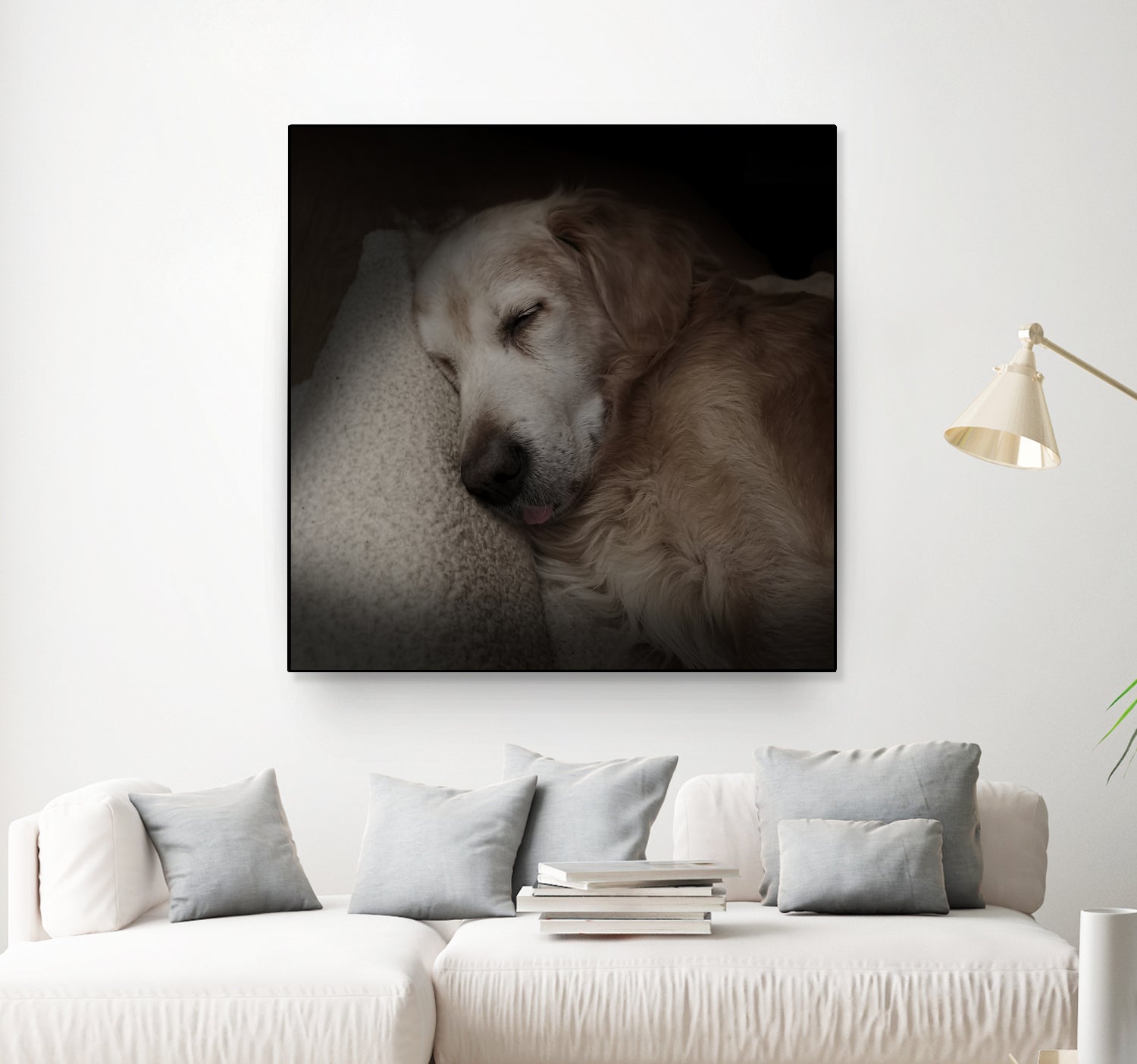 Sleeping Golden by Andreas Magnusson on GIANT ART - animals golden