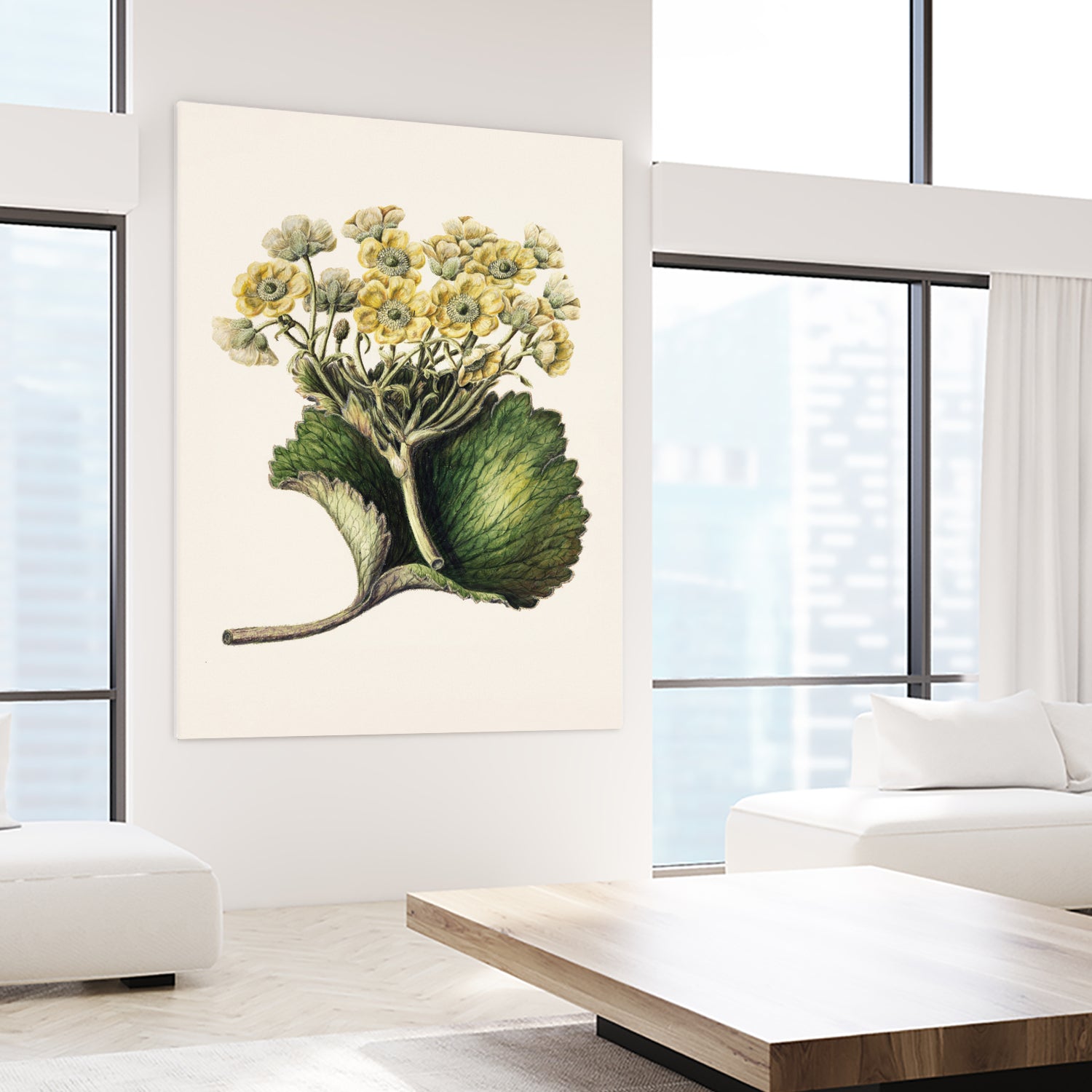 Korikor Drawn By Sarah Featon (1848a€“1927 by Sarah Featon on GIANT ART - flowers and plants vintage botanical