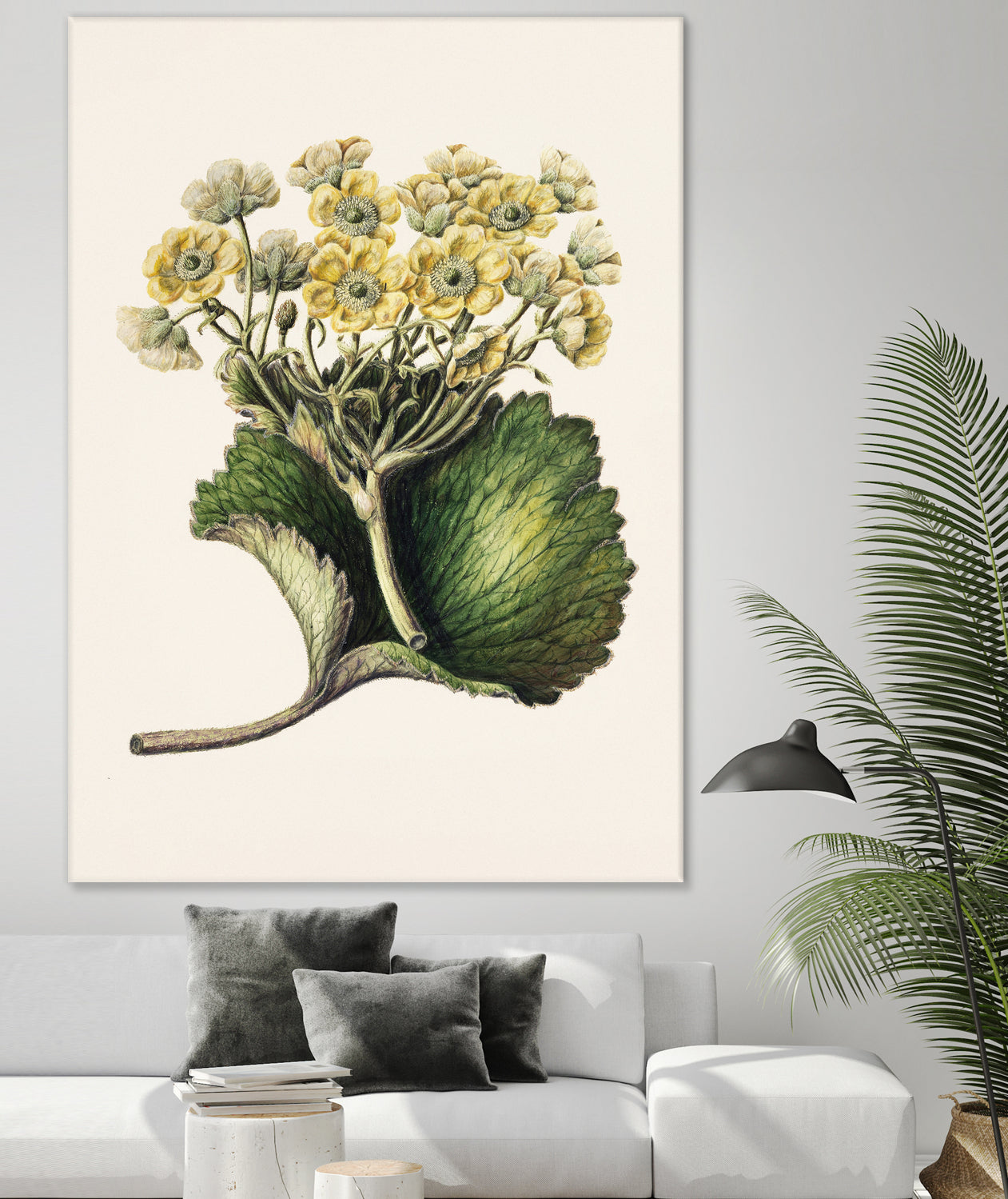 Korikor Drawn By Sarah Featon (1848a€“1927 by Sarah Featon on GIANT ART - flowers and plants vintage botanical