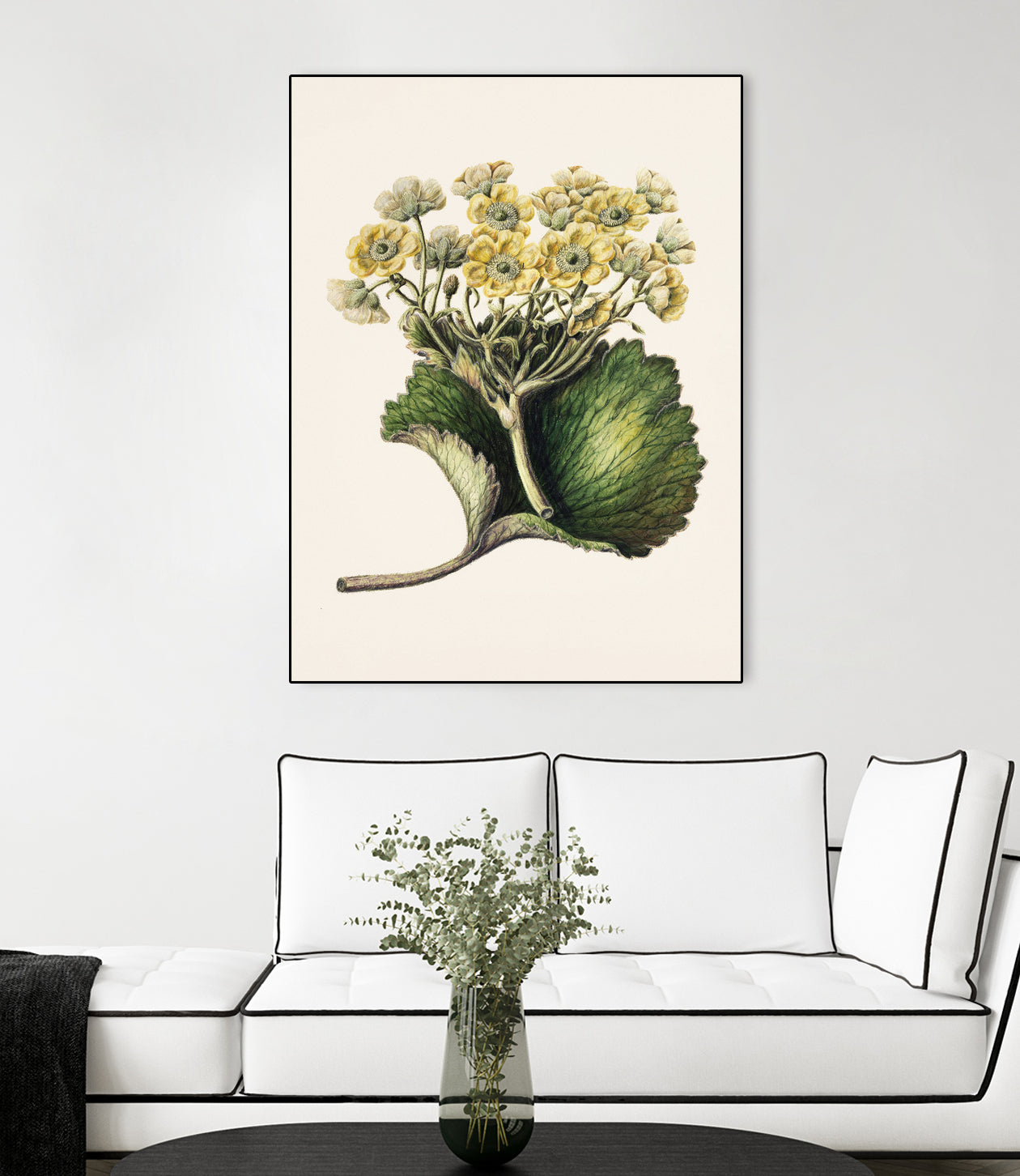 Korikor Drawn By Sarah Featon (1848a€“1927 by Sarah Featon on GIANT ART - flowers and plants vintage botanical