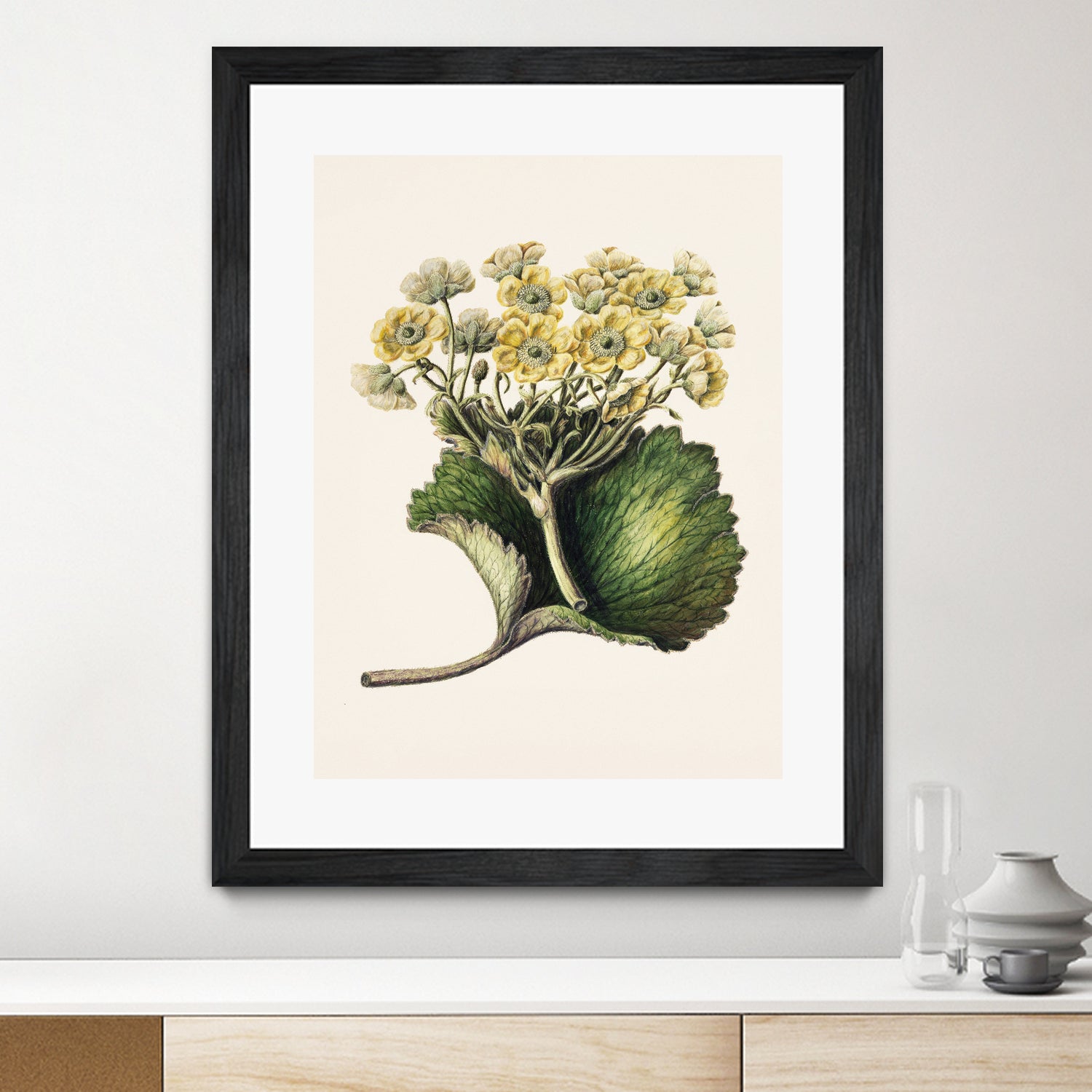 Korikor Drawn By Sarah Featon (1848a€“1927 by Sarah Featon on GIANT ART - flowers and plants vintage botanical