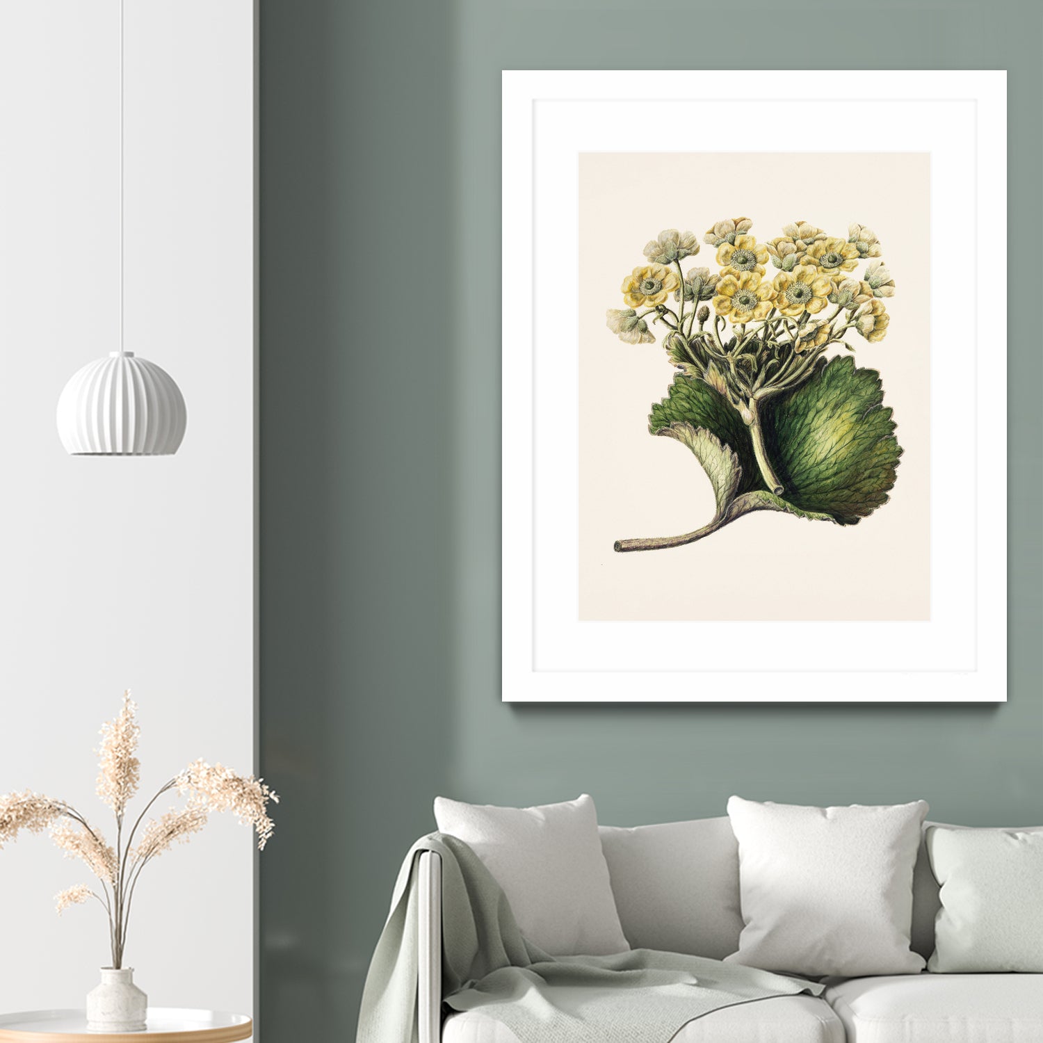 Korikor Drawn By Sarah Featon (1848a€“1927 by Sarah Featon on GIANT ART - flowers and plants vintage botanical