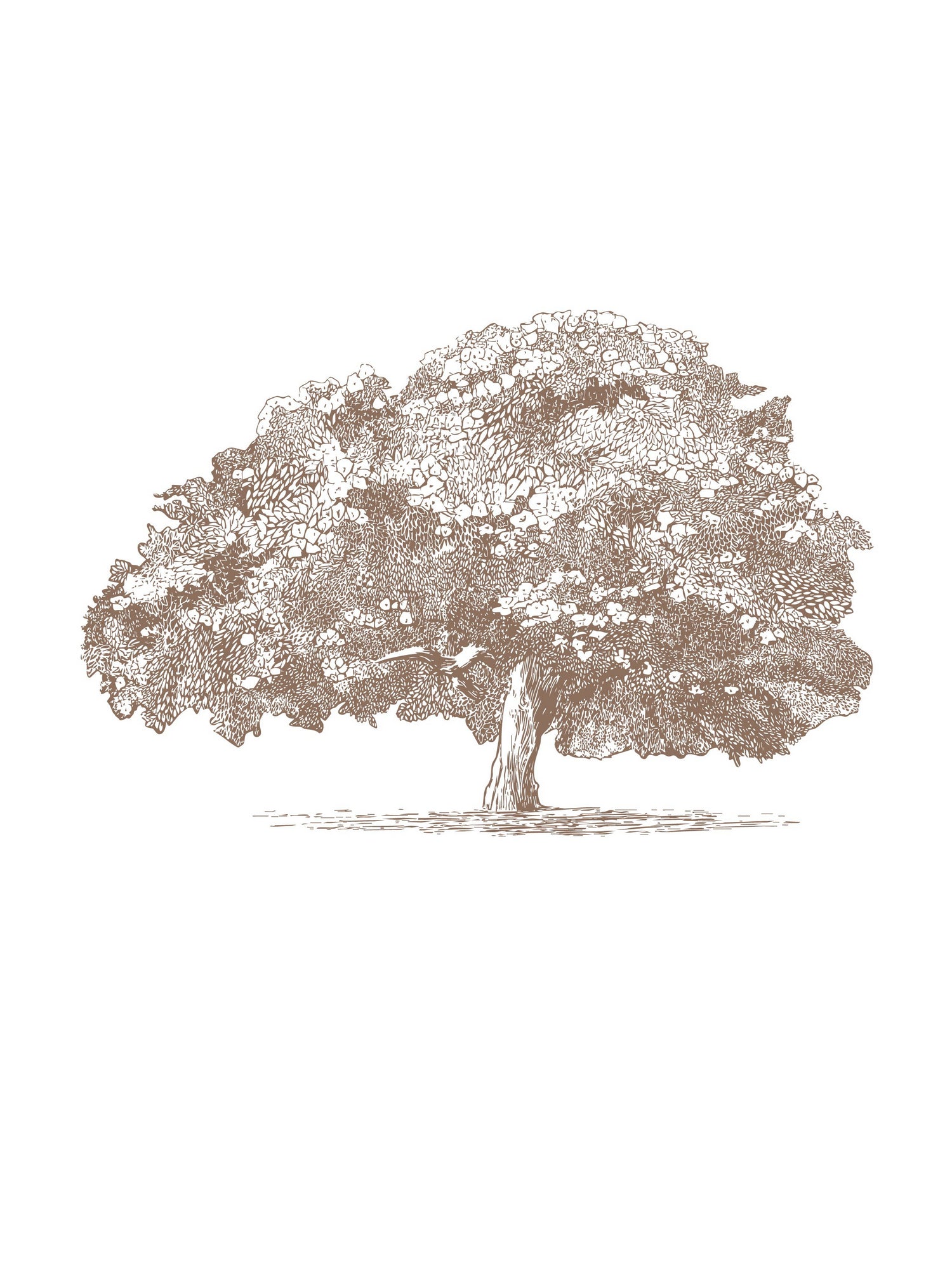 Big Tree in Brown Sepia by Katie Oa#039;Shea on GIANT ART - 2550 illustration