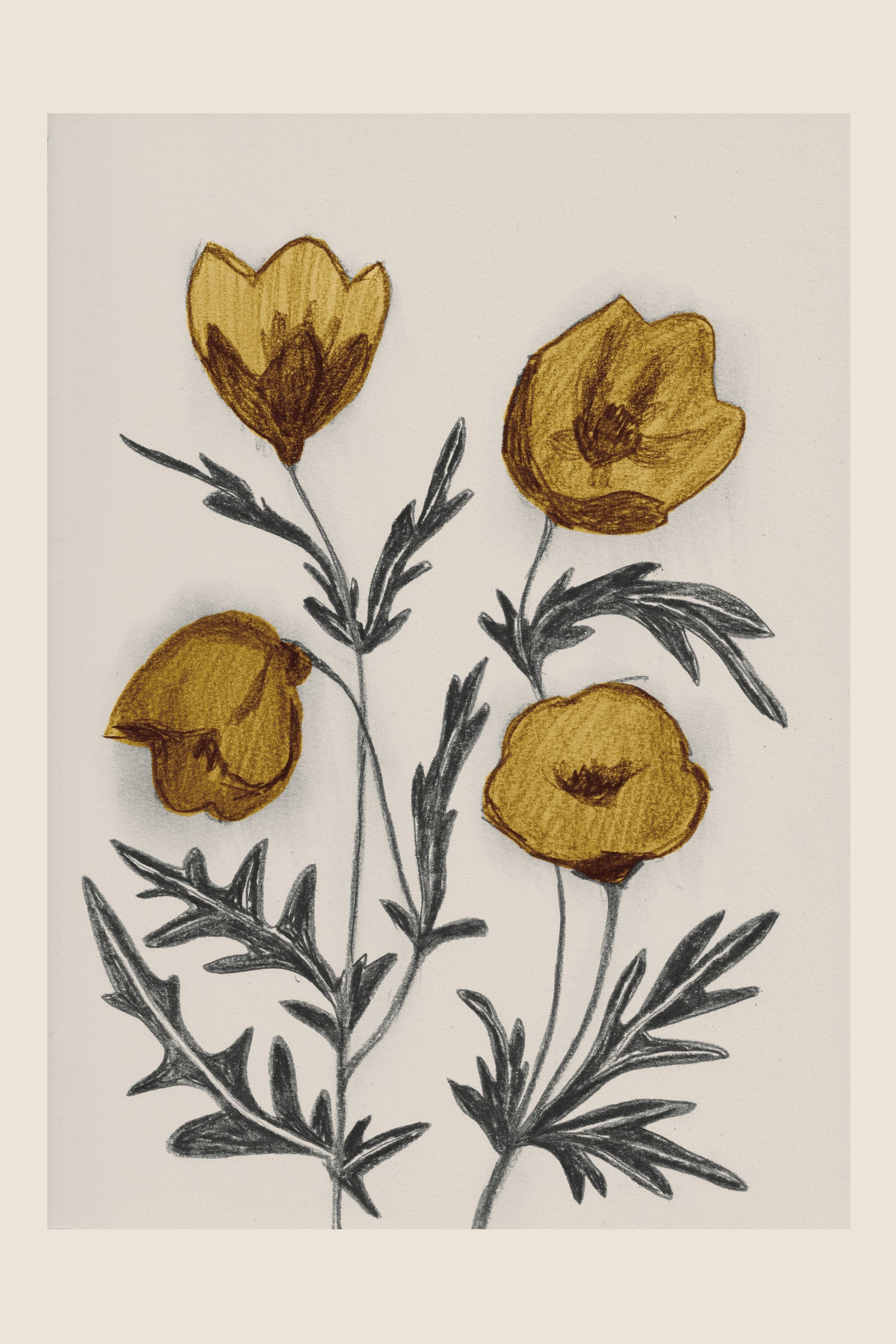 Charcoal Floral by Catalina Somolinos on GIANT ART - 11242 illustration