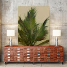 Palm by Dan Hobday on GIANT ART -  hiddentropics
