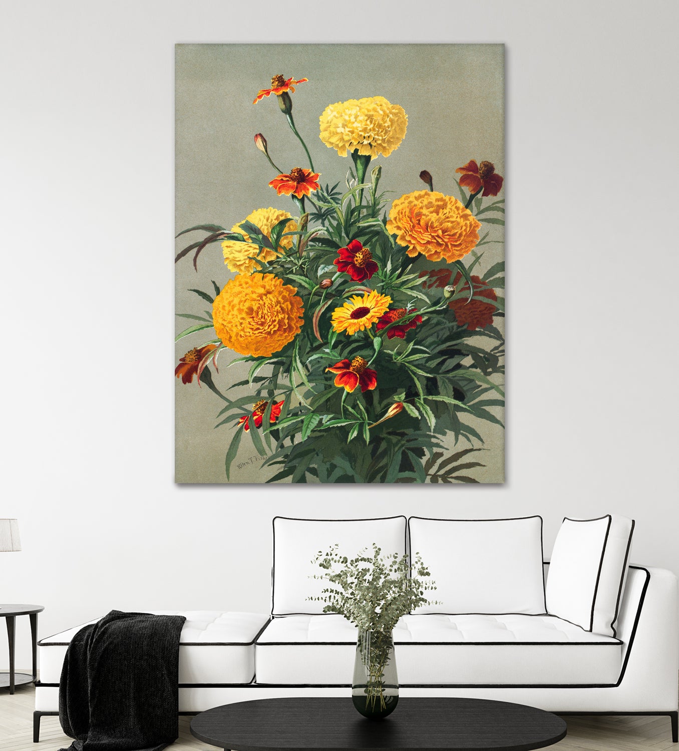 Marigolds by Ellen Thayer Fisher on GIANT ART - illustration ellen thayer fisher