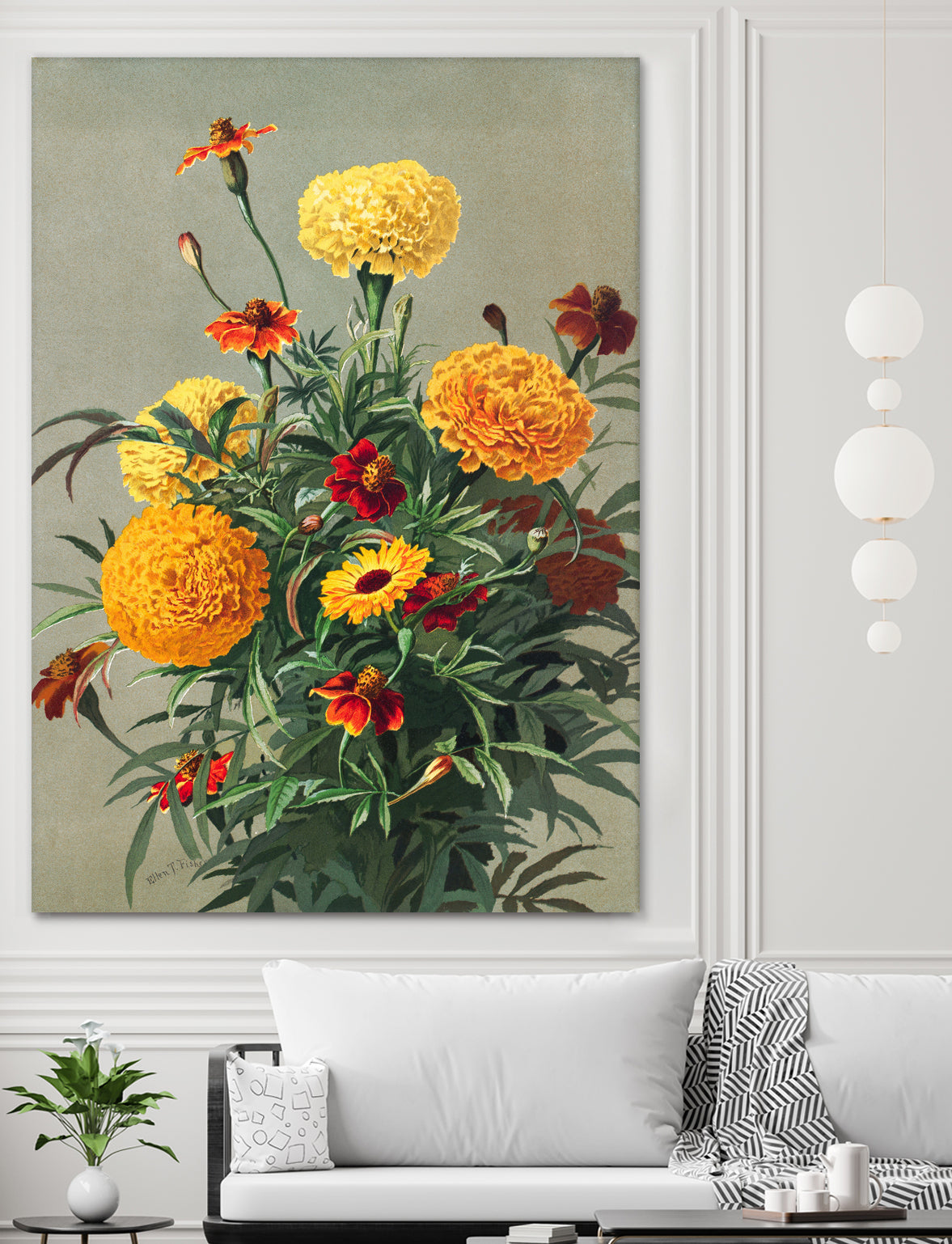 Marigolds by Ellen Thayer Fisher on GIANT ART - illustration ellen thayer fisher