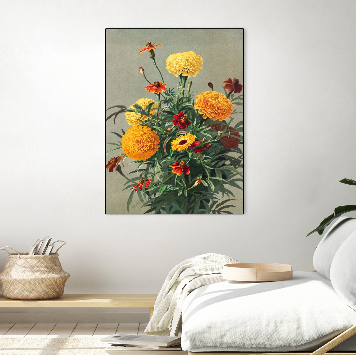 Marigolds by Ellen Thayer Fisher on GIANT ART - illustration ellen thayer fisher