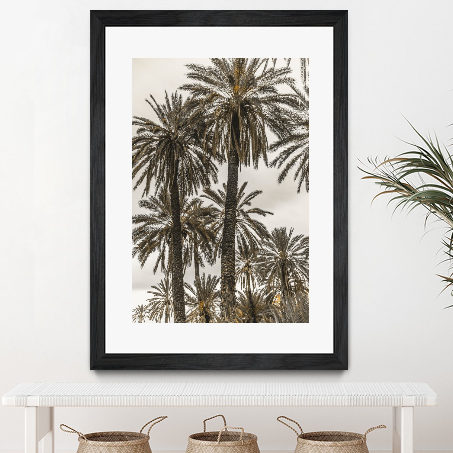 Sicilian Memories 17 by Mareike Bohmer on GIANT ART - botany