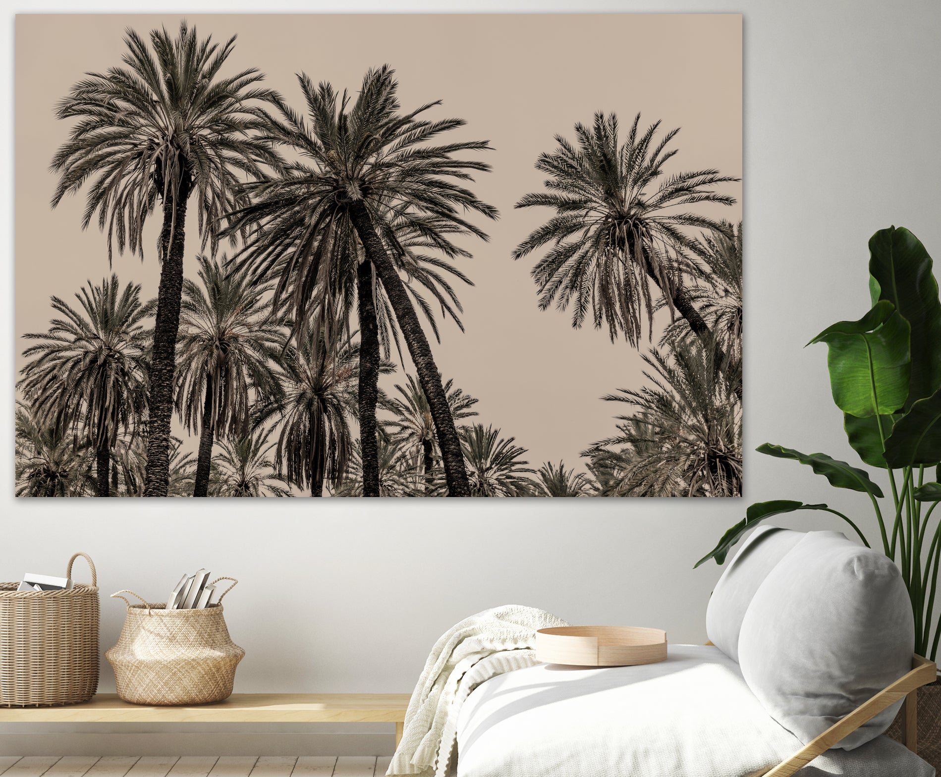 Sicilian Memories 15 by Mareike Bohmer on GIANT ART - palm