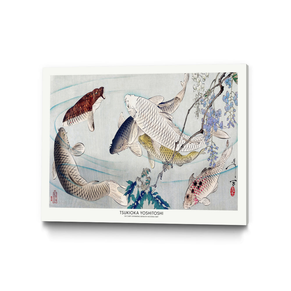 PUUID-PX3448983_GR4030