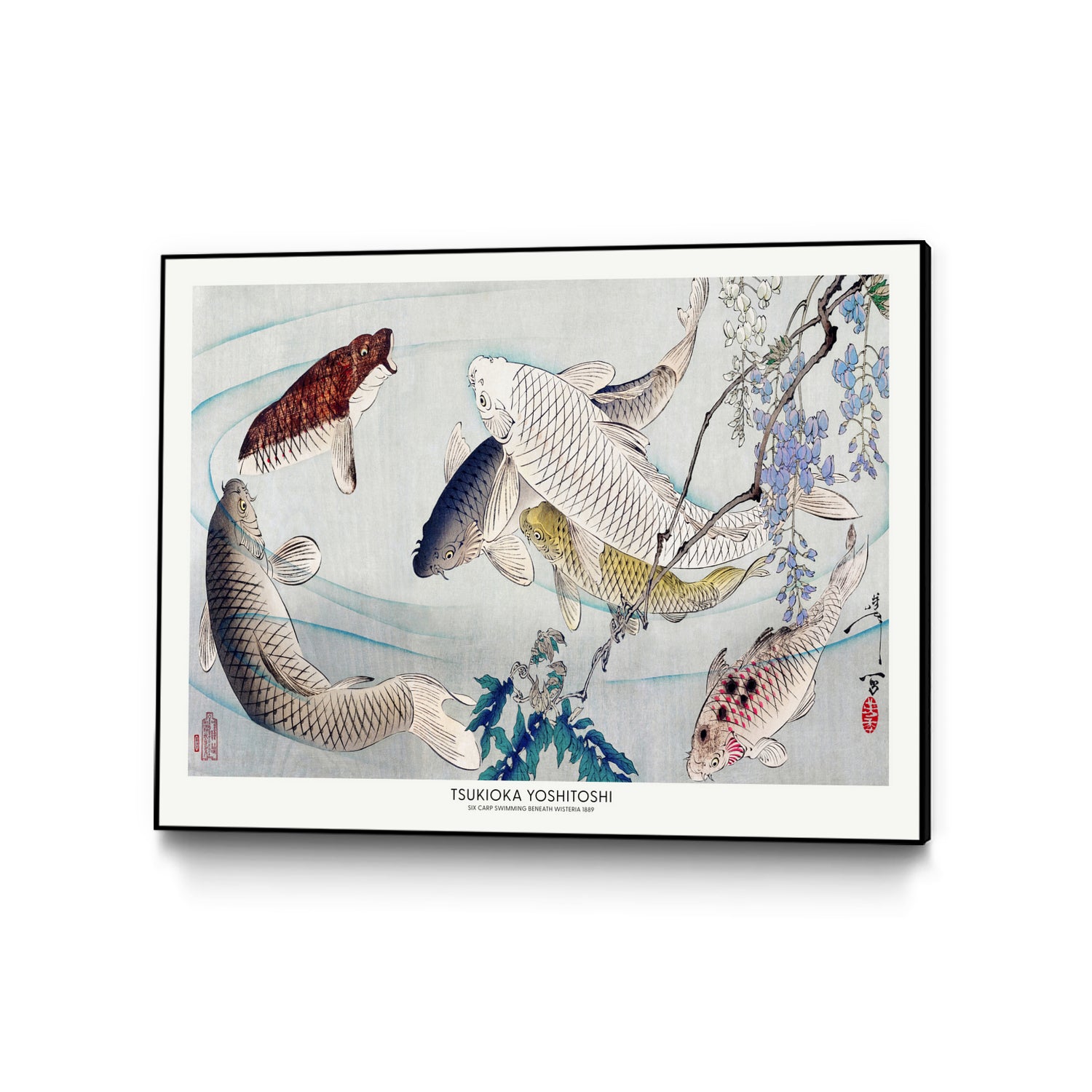 PUUID-PX3448983_CFB4030