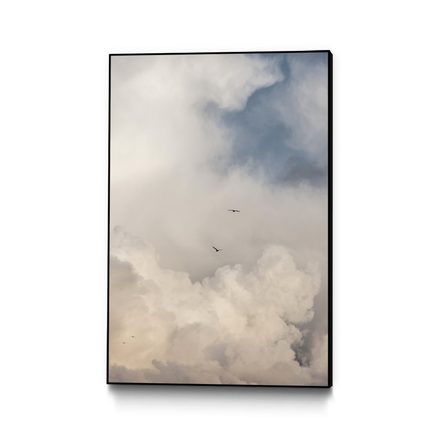 PUUID-PX3511591_CFB2436
