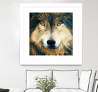 Regard inquiet du loup by Sylvia Audet on GIANT ART - white animals