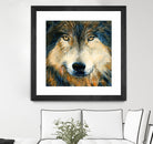 Regard inquiet du loup by Sylvia Audet on GIANT ART - white animals