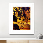 Body Temple Gold by Daniel Stanford on GIANT ART - black photo art