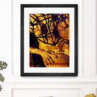 Body Temple Gold by Daniel Stanford on GIANT ART - black photo art