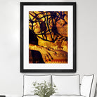 Body Temple Gold by Daniel Stanford on GIANT ART - black photo art