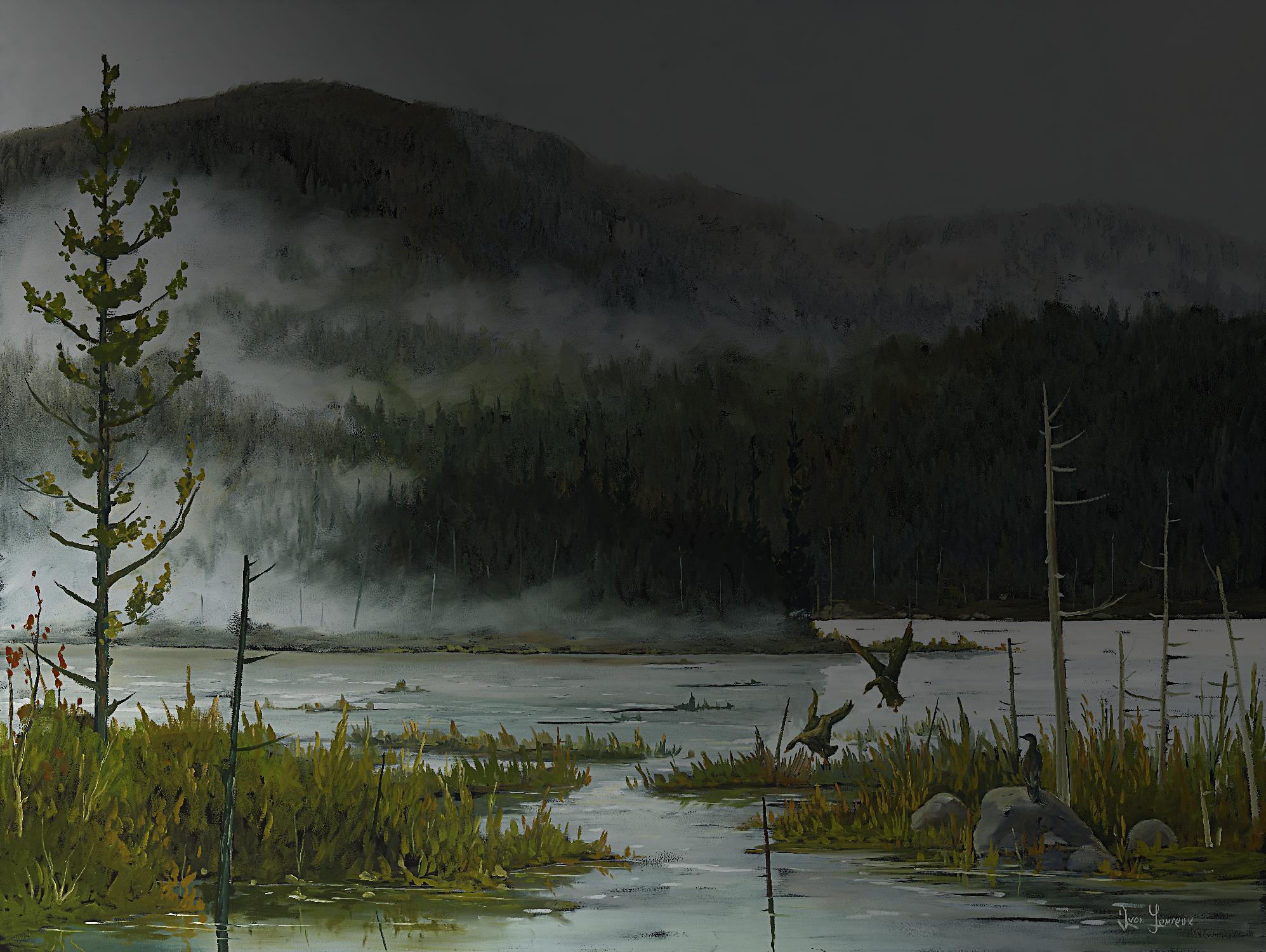 Le lac vaseau by Yvon Lemieux on GIANT ART - green landscape