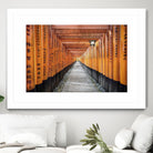 Fushimi Inari Shrine, Kyoto by Nick Jackson on GIANT ART - orange photo art