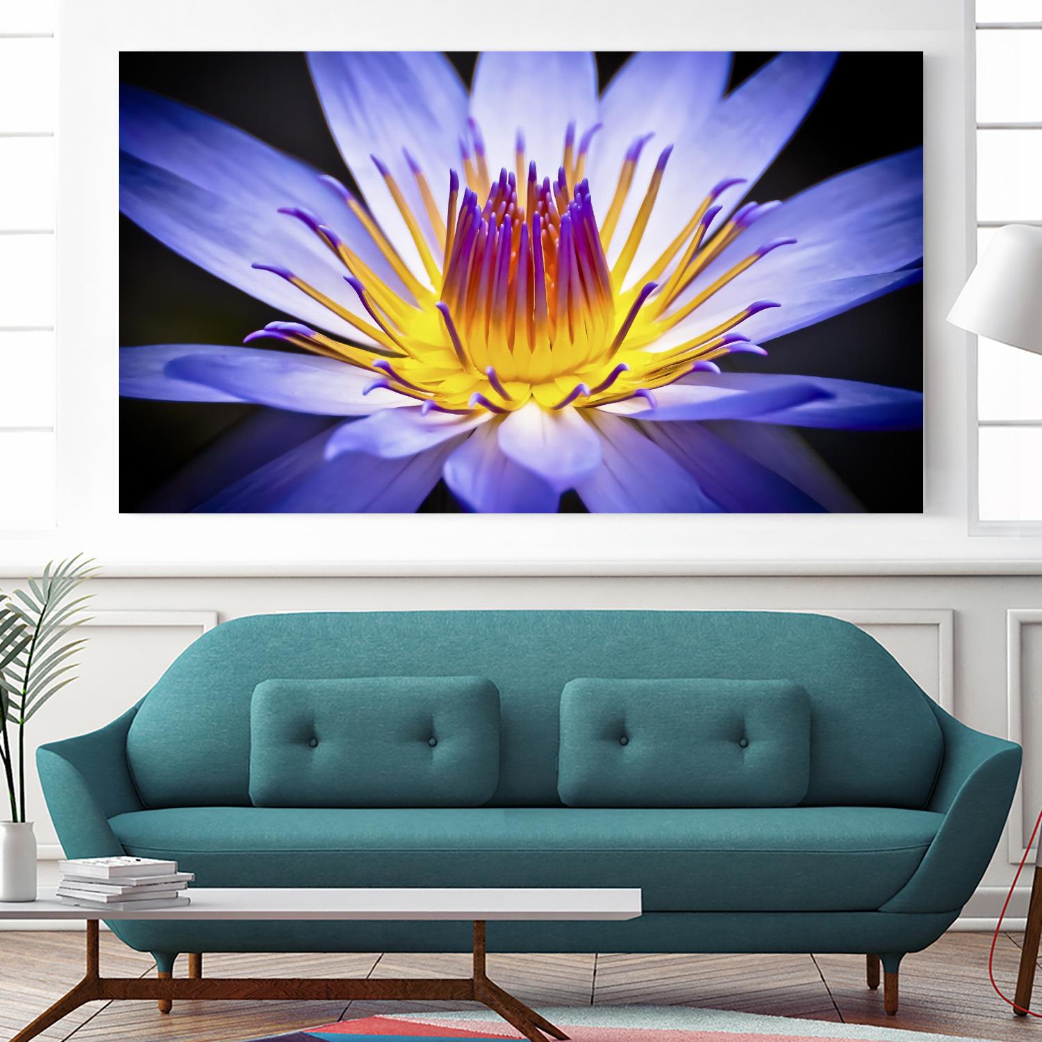 Kew Gardens Waterlily by Nick Jackson on GIANT ART - yellow floral