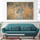 Watching her cubs by Nick Jackson on GIANT ART - black animals