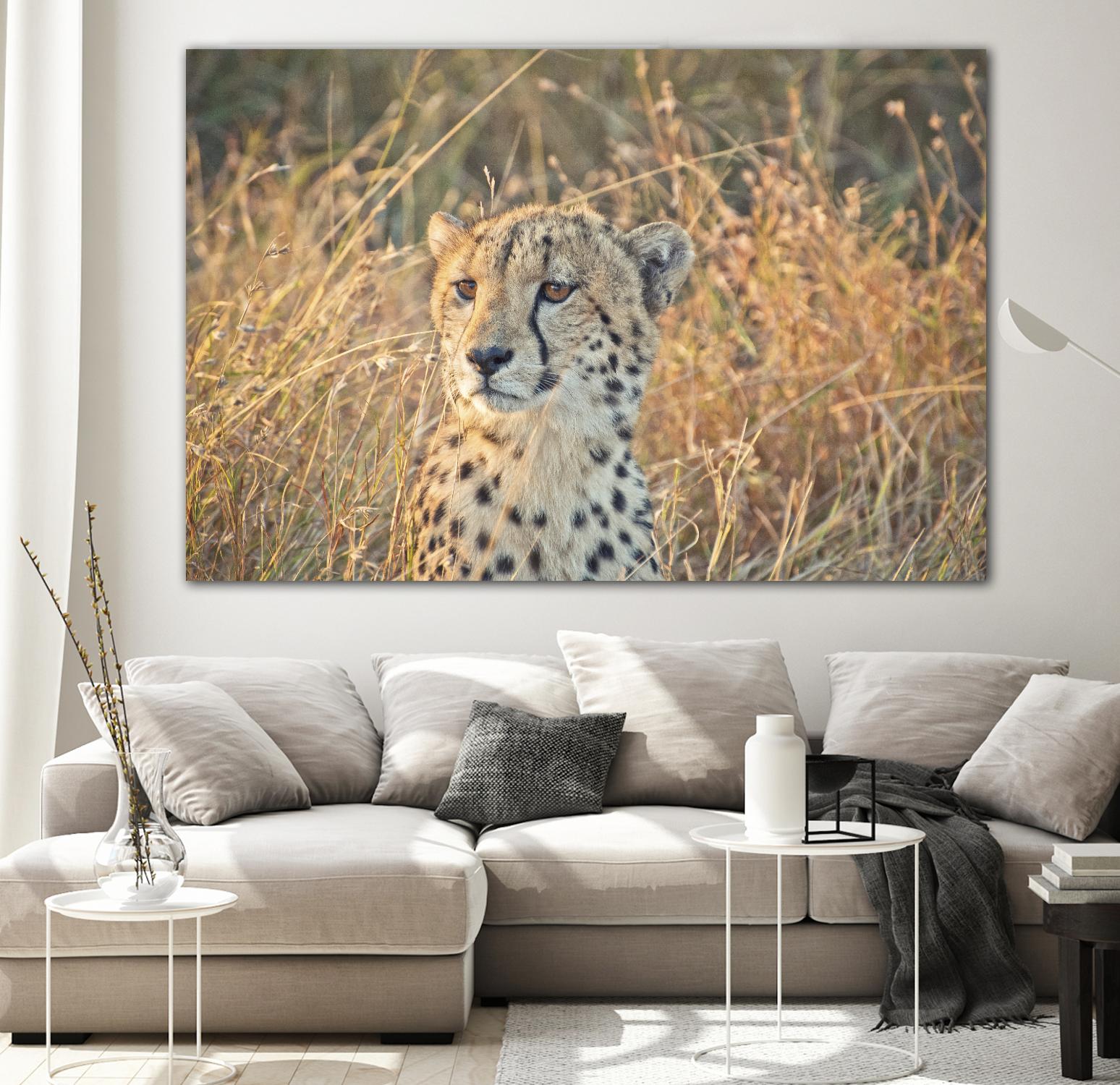Watching her cubs by Nick Jackson on GIANT ART - black animals