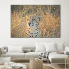 Watching her cubs by Nick Jackson on GIANT ART - black animals