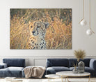 Watching her cubs by Nick Jackson on GIANT ART - black animals