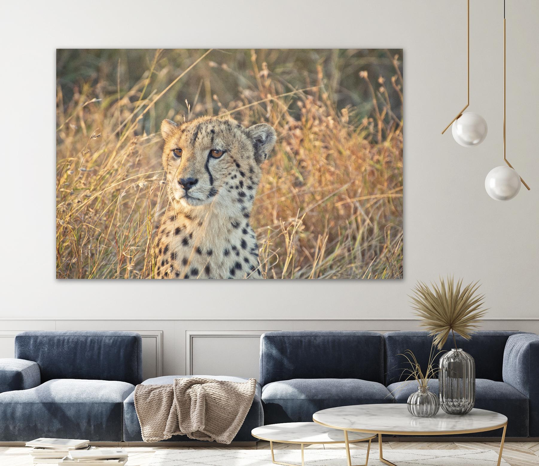 Watching her cubs by Nick Jackson on GIANT ART - black animals