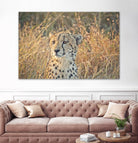 Watching her cubs by Nick Jackson on GIANT ART - black animals