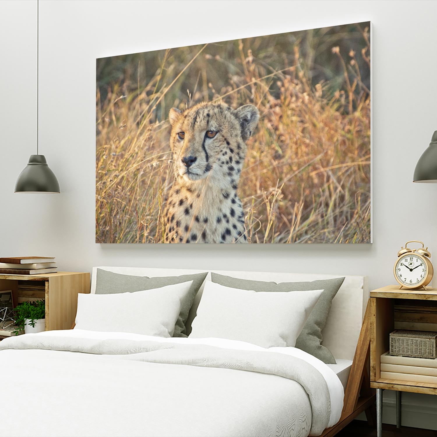Watching her cubs by Nick Jackson on GIANT ART - black animals