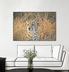 Watching her cubs by Nick Jackson on GIANT ART - black animals